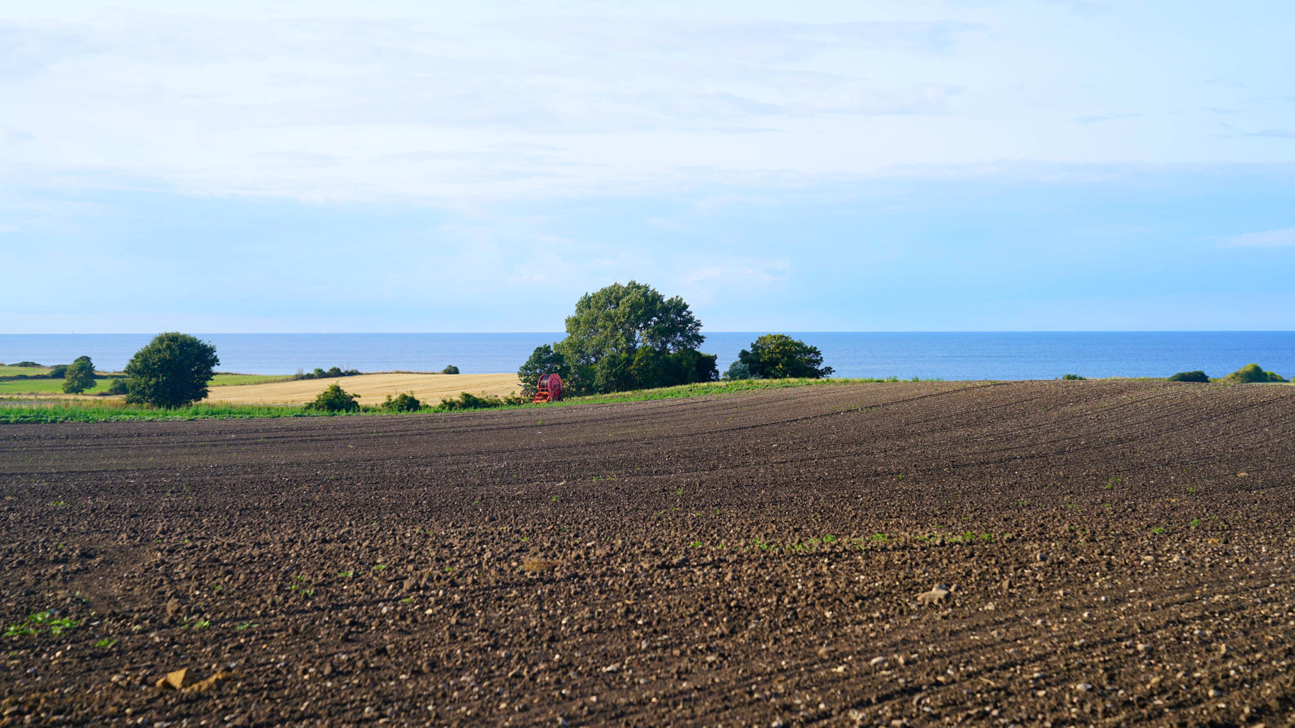 DENMARK