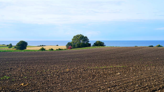 DENMARK
