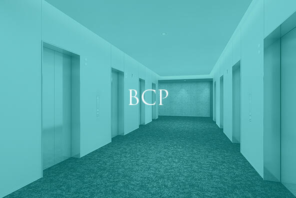 bcpイメージ