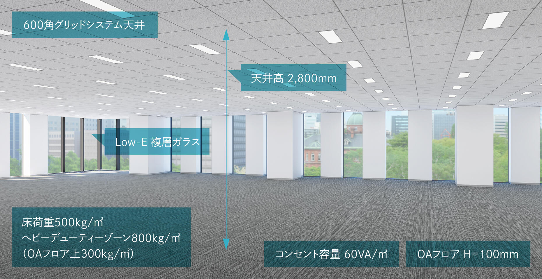 天井高2,800mmの伸びやかな空間。画像
