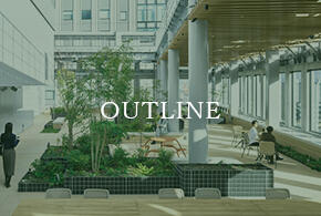 outlineイメージ