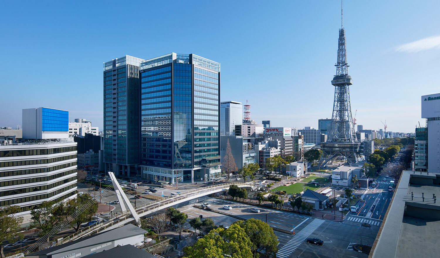 AREA MANAGEMENT TOPSP画像